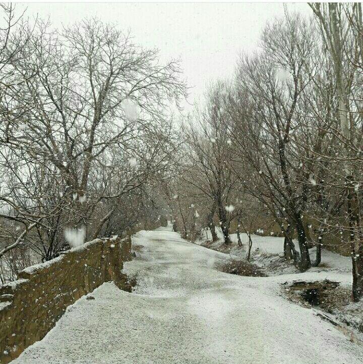 ورپشت برفی؛ سپیدی دوباره پس از مدت‌ها انتظار