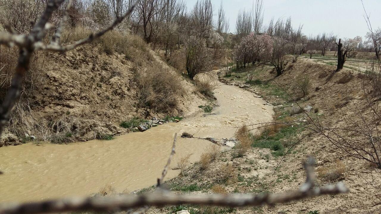 جریان موقت آب در رودخانه ورپشت؛ پس از بارش‌های اخیر  رودخانه مرغاب دوباره زنده شد