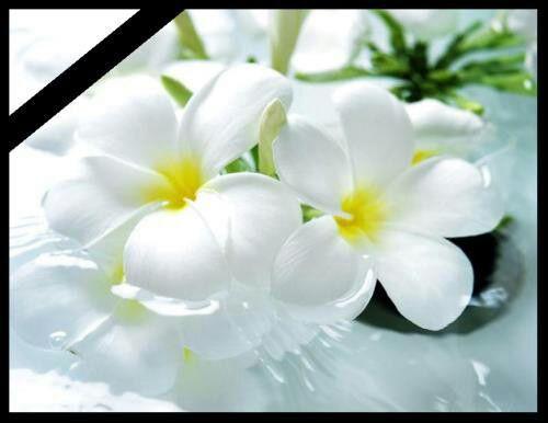 تسلیت مردم ورپشت به جناب آقای شاهمرادی، دهیار محترم روستای ورپشت