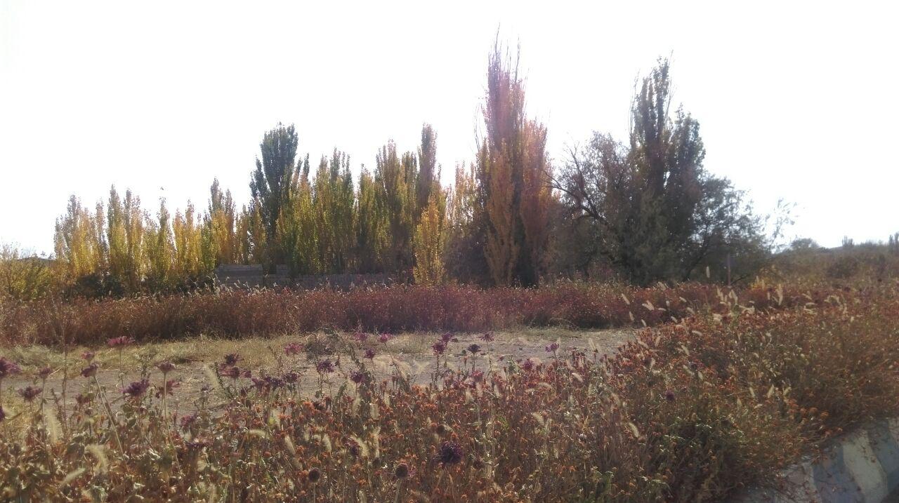 سری نخست تصاویر ارسالی مخاطبان؛ طبیعت پاییزی روستای زیبای ورپشت، رسانه مردمی ورپشت