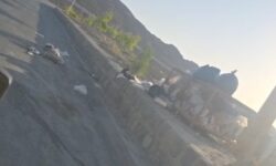 اعلام نگرانی جمعی از اهالی ورپشت درباره افزایش سگ‌های ولگرد و درخواست برای ساماندهی فوری با همکاری دهیاری و نهادهای مسئول