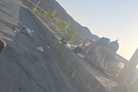 اعلام نگرانی جمعی از اهالی ورپشت درباره افزایش سگ‌های ولگرد و درخواست برای ساماندهی فوری با همکاری دهیاری و نهادهای مسئول