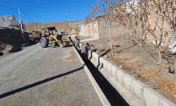 از جهاد خدمت‌رسانی پرسنل دهیاری تا ضرب‌الاجل جدی برای جمع‌آوری نخاله‌های سرگردان