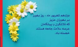 تبریک دوازدهم شهریورماه؛ روز بهورز، پیام قدردانی رسانه مردمی ورپشت به جامعه خدوم بهورزی روستا