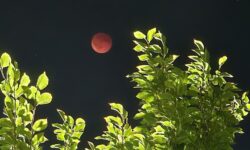 روایت شبی رؤیایی در آسمان ورپشت؛ ماه‌خونی باشکوه ۱۶ شهریور ۱۴۰۴ در قاب دوربین‌های اهالی روستا