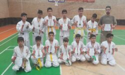 درخشش جودوکاران نوجوان ورپشت در مسابقات استانی