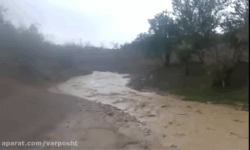 جریان موقت آب در رودخانه ورپشت؛ پس از بارش‌های اخیر  رودخانه مرغاب دوباره زنده شد
